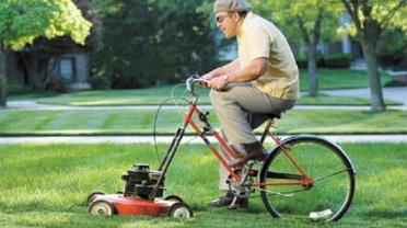 Service : tonte de pelouse Service : tonte de pelouse