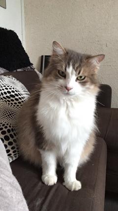 Demander une garde
