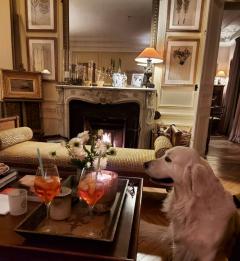 Location : aspirateur Location : aspirateur