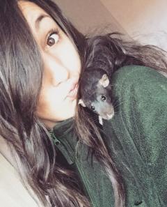 Service : rongeur Service : rongeur