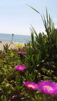 Demander ce jardinier