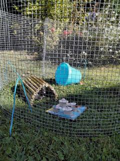 Service : rongeur Service : rongeur