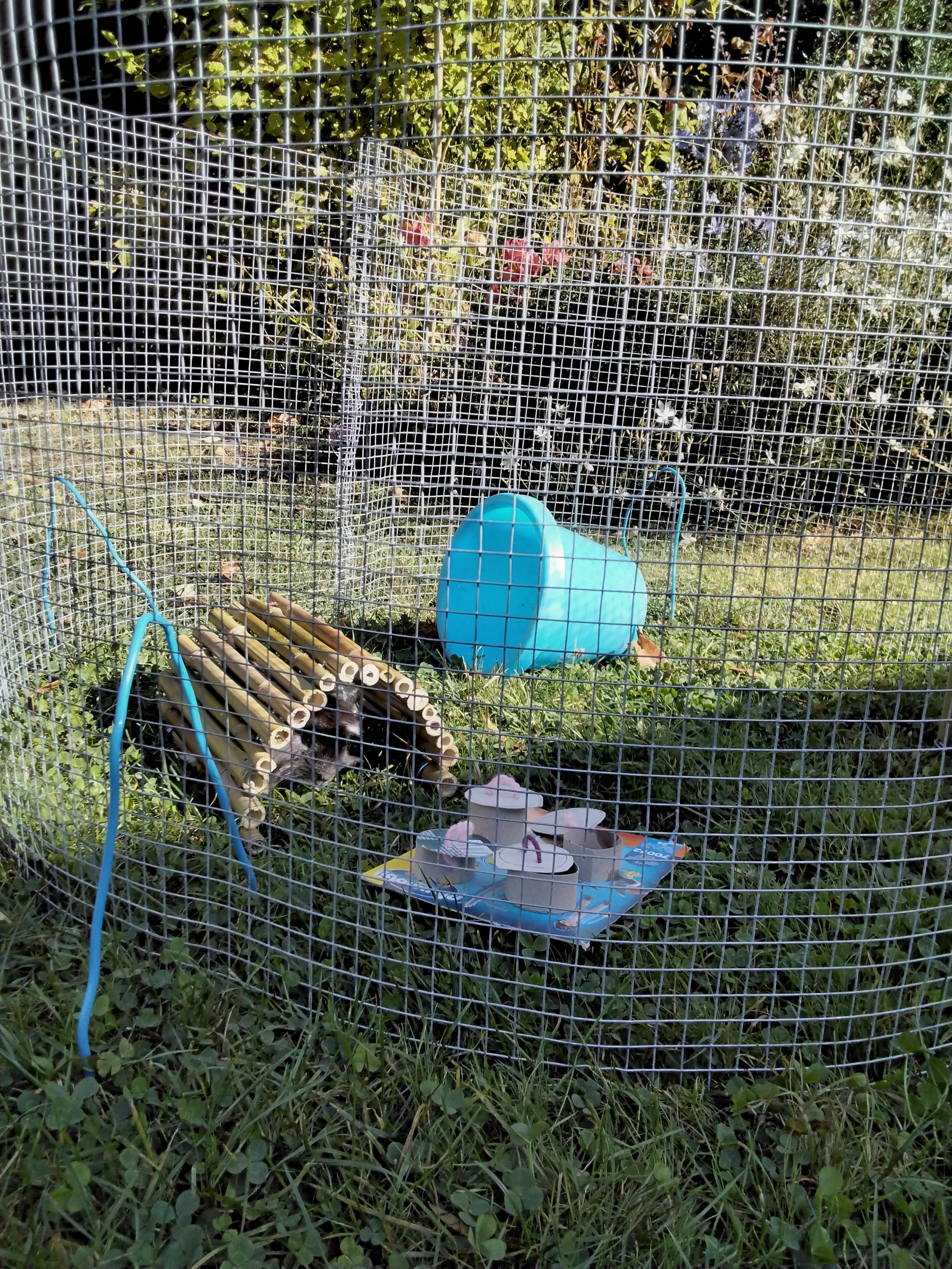 Service rongeur 49 entre particuliers