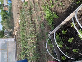 Service : entretien jardin Service : entretien jardin
