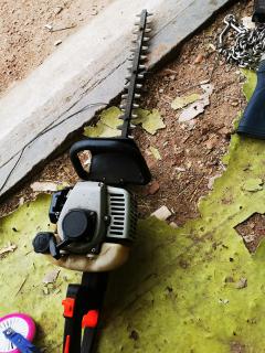 Location : taille haie Location : taille haie