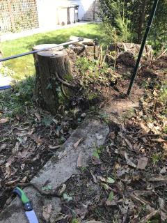 Location : tirefort Location : tirefort