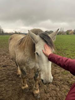 Service : service a personne Service : service a personne