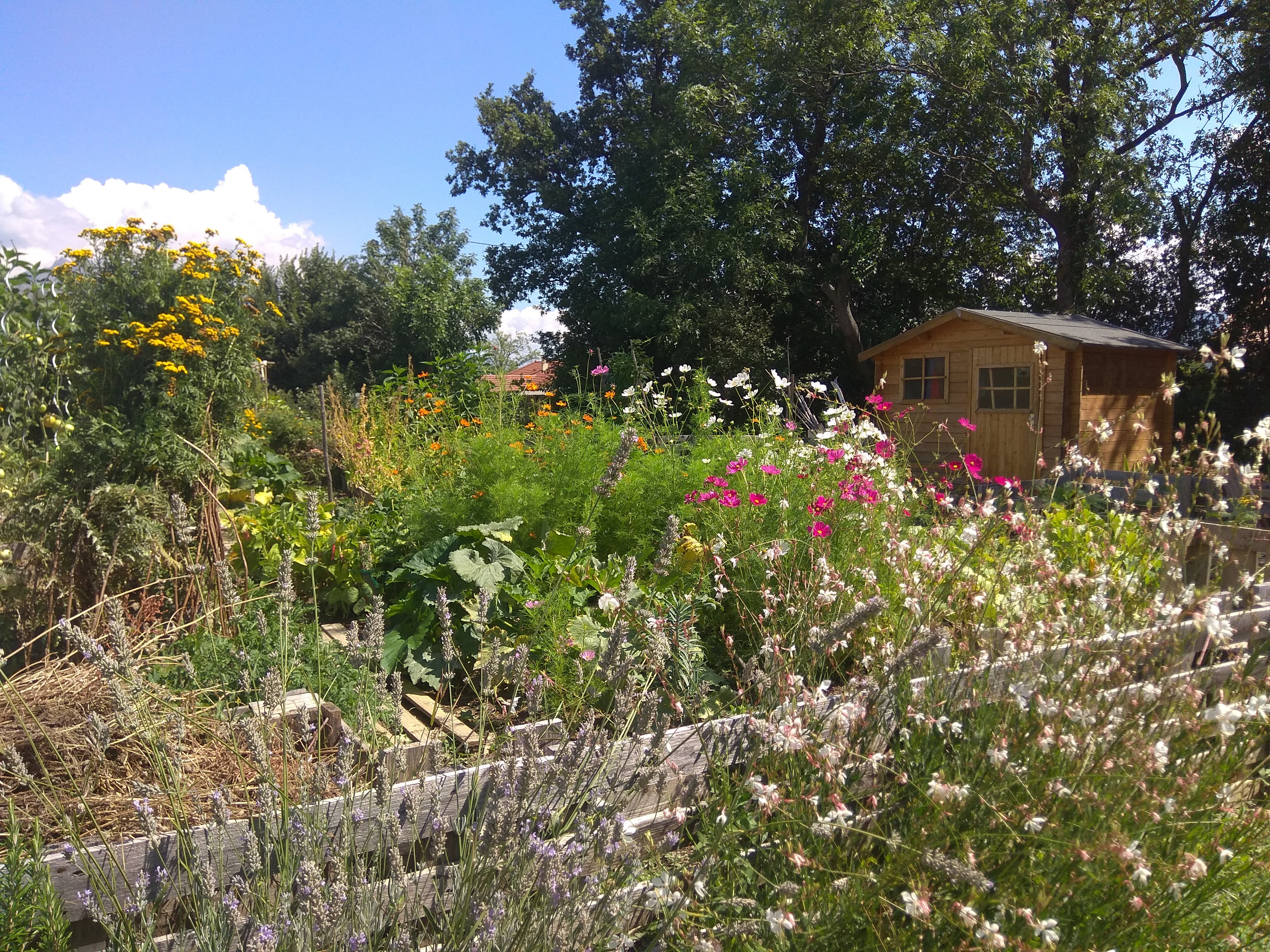 Location jardin potager 05 entre particuliers