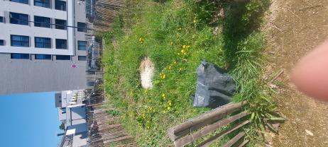 Location : motoculteur Location : motoculteur