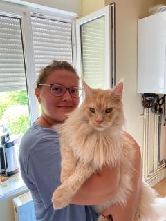 Demander ce catsitter