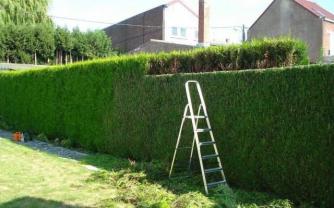 Demander ce jardinier