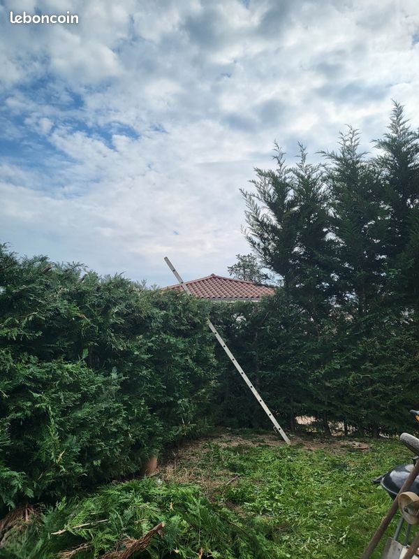 Service tonte de pelouse 79 entre particuliers