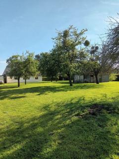 Service : entretien espace vert Service : entretien espace vert