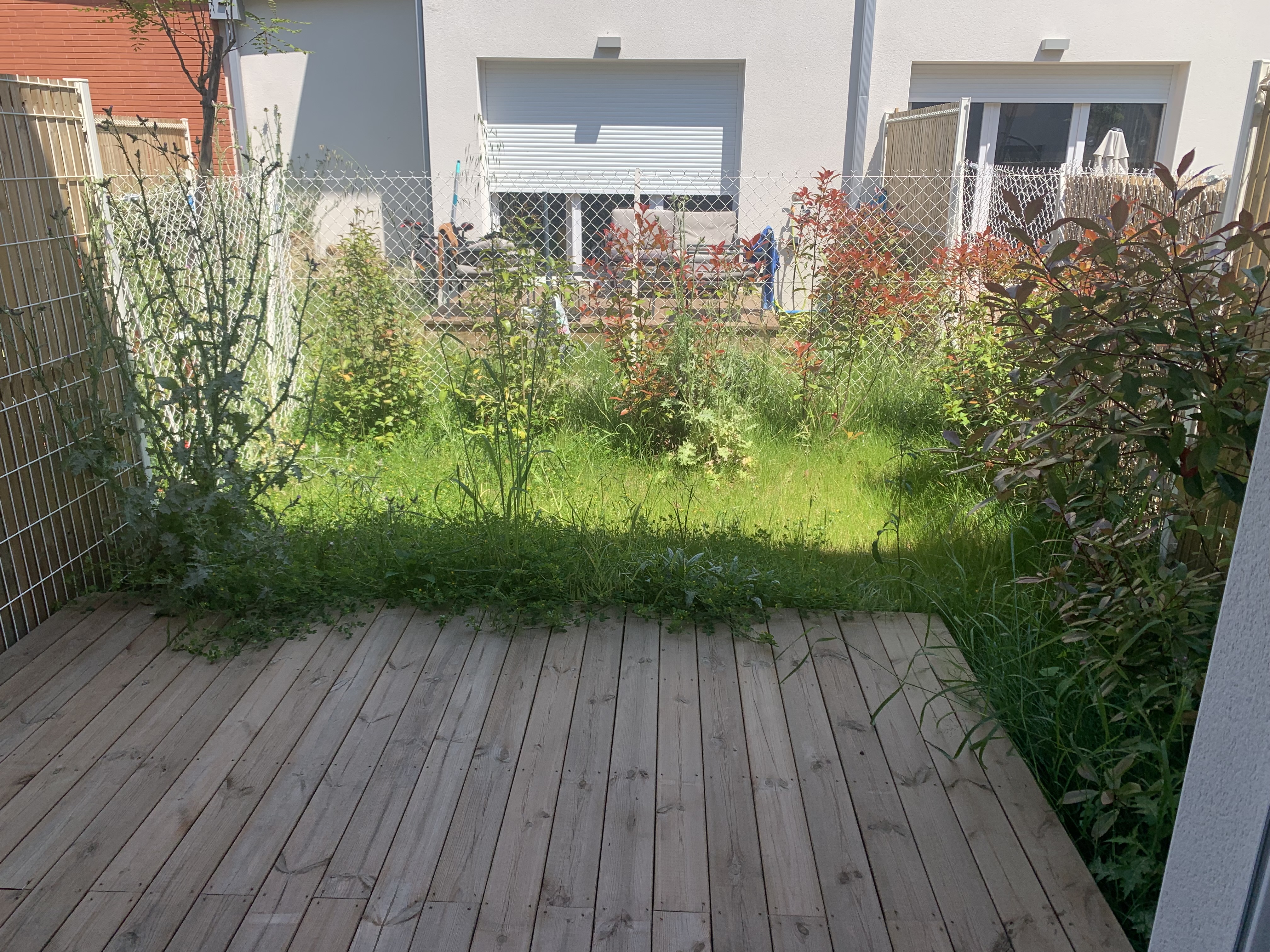 Service tonte de pelouse 31 entre particuliers