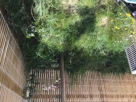 Service : amenagement jardin Service : amenagement jardin