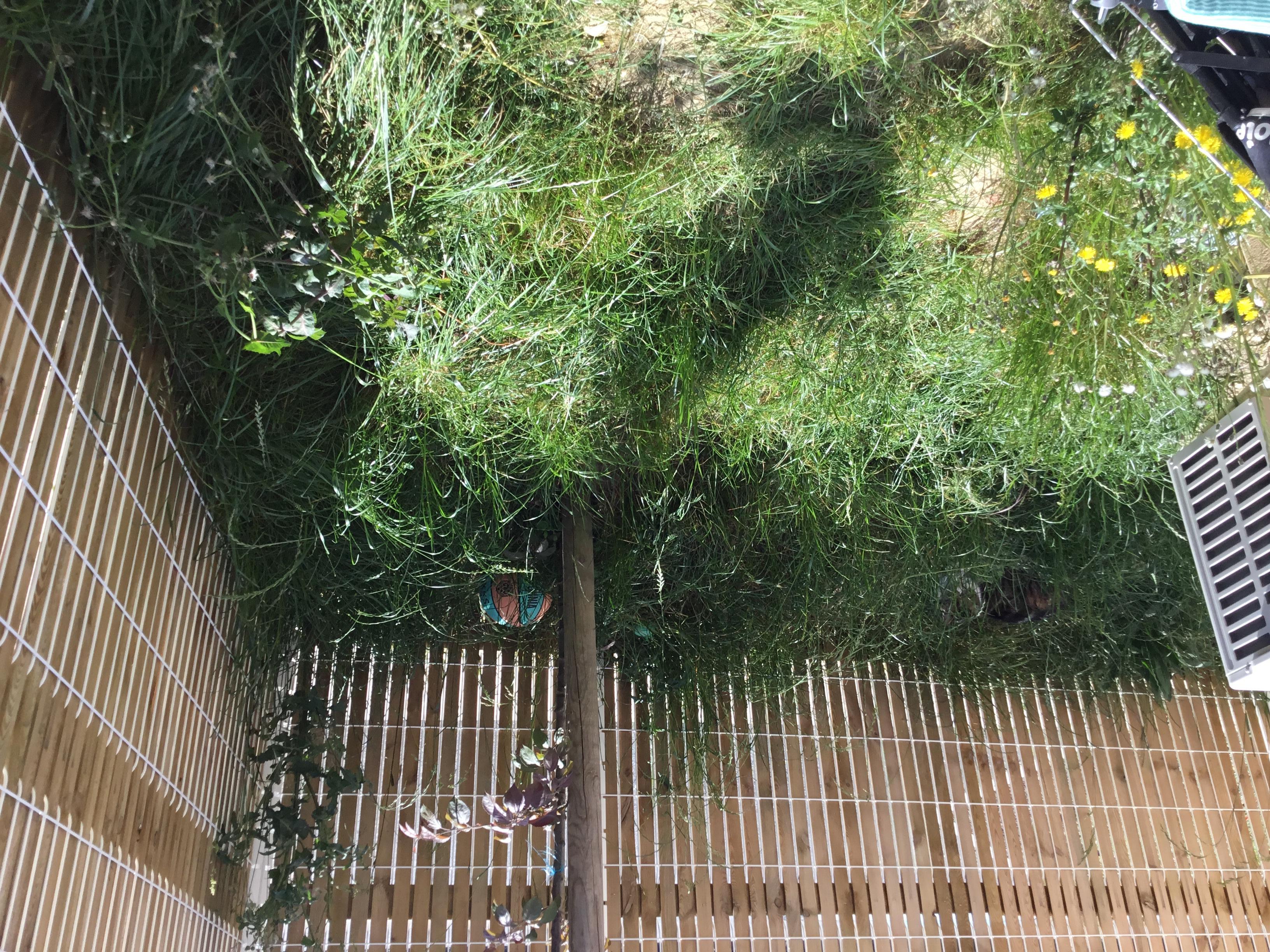 Service amenagement jardin 31 entre particuliers