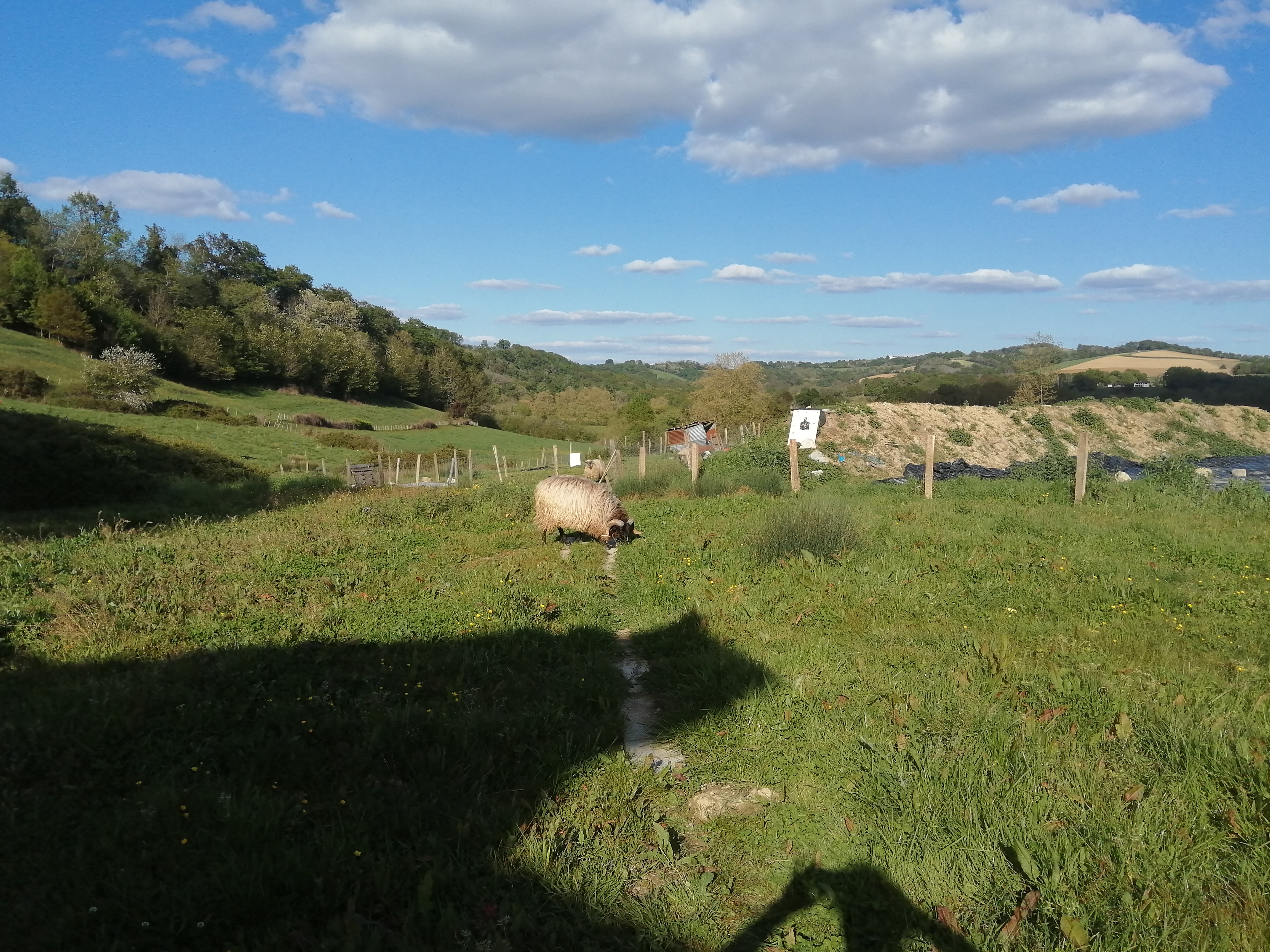 Service garde animaux 64 entre particuliers