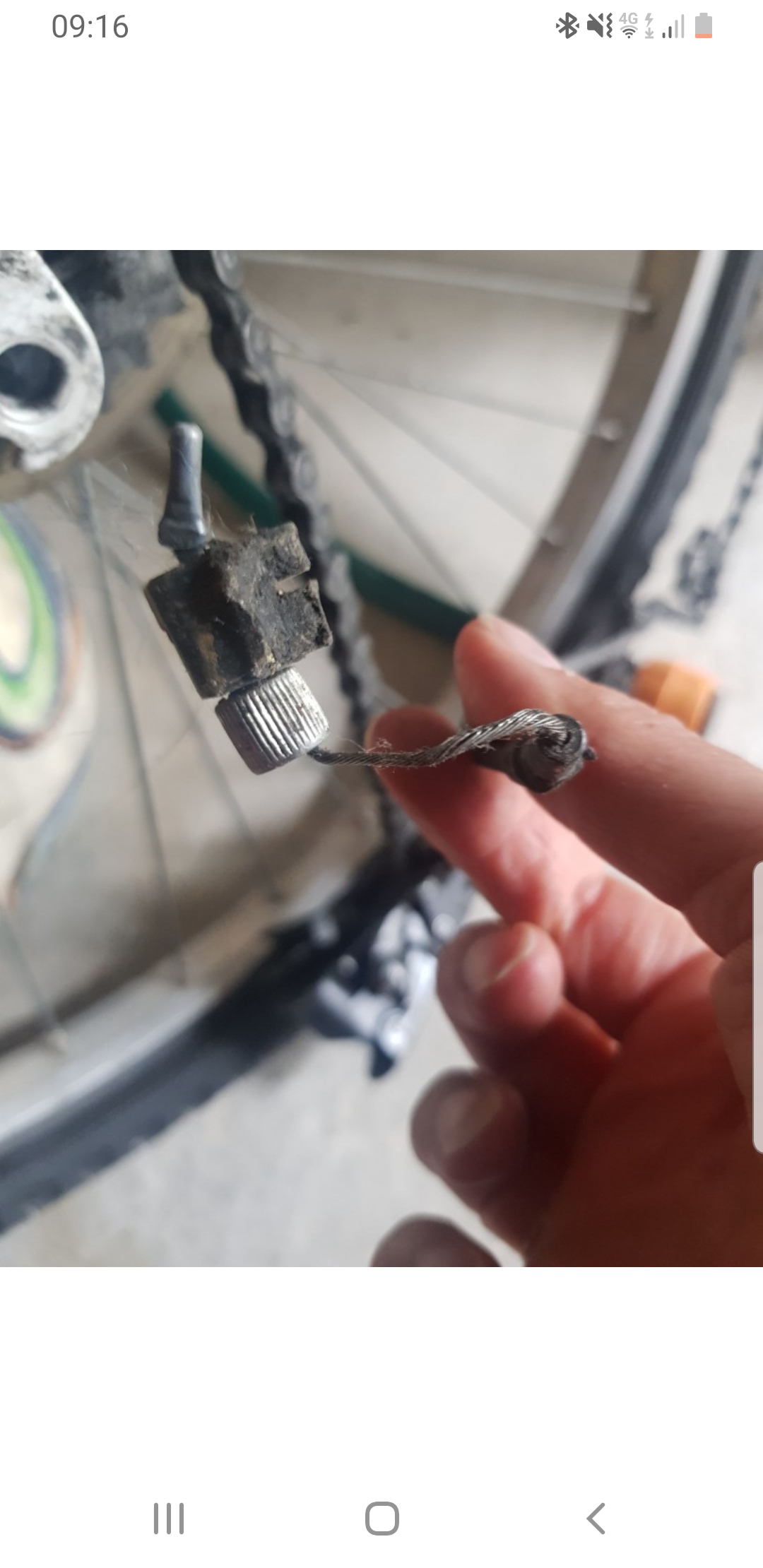 Service reparation velo 29 entre particuliers