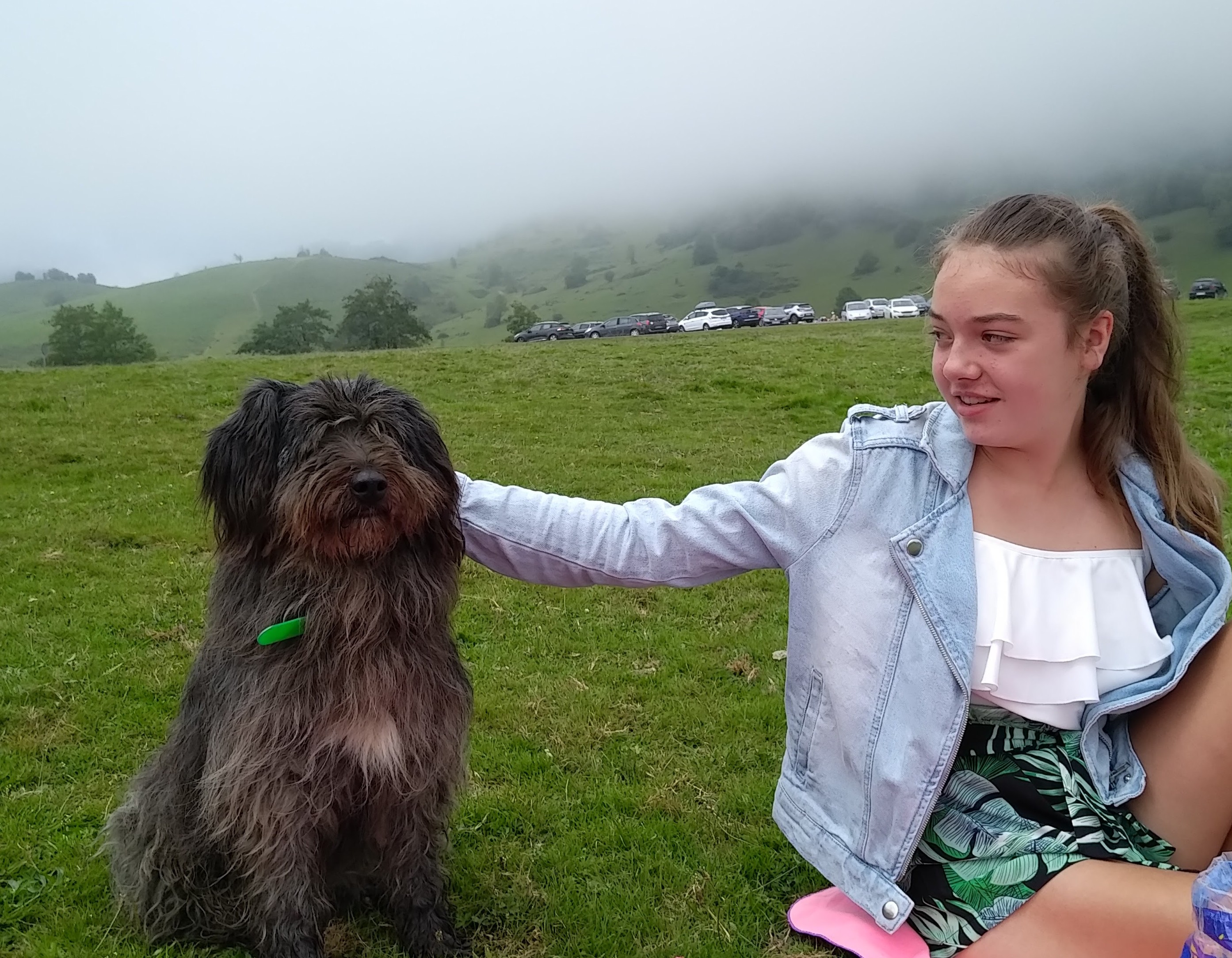 Service promeneur chien 45 entre particuliers