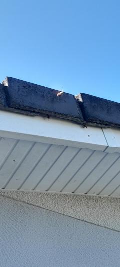 Service : entretien jardin Service : entretien jardin