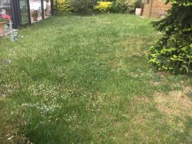 Service : tonte de pelouse Service : tonte de pelouse