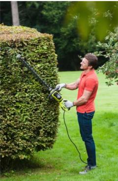 Location : taille haie Location : taille haie