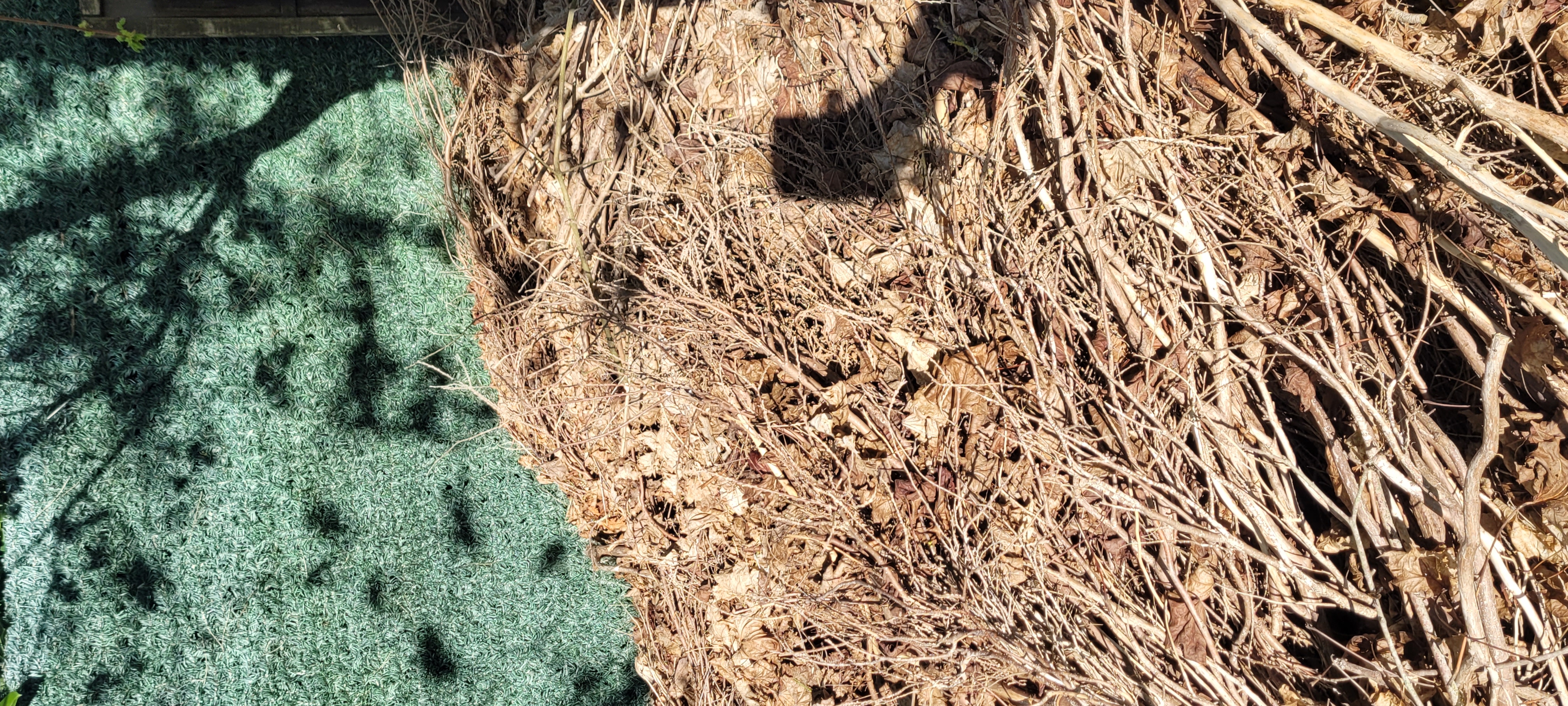 Service debarras 57 entre particuliers