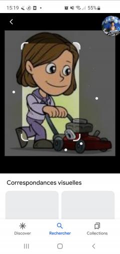 Service : tonte de pelouse Service : tonte de pelouse