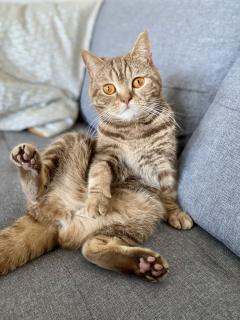 Demander une garde