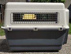 Location : cage transport animaux Location : cage transport animaux