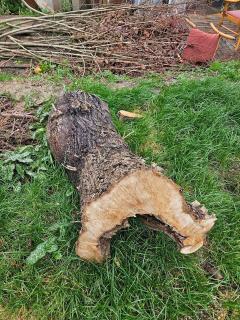 Service : coupe de bois Service : coupe de bois