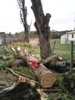 Demander ce jardinier
