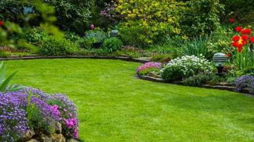 Service tonte de pelouse entre particuliers