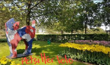 Service : chat Service : chat