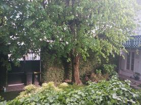 Service : tonte de pelouse Service : tonte de pelouse