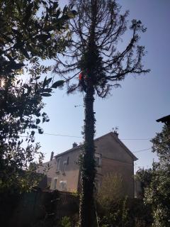 Demander ce jardinier
