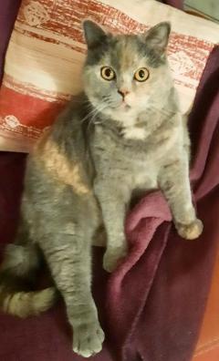 Location : autre Location : autre