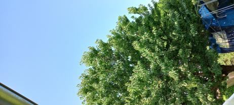 Location : logement contre service Location : logement contre service