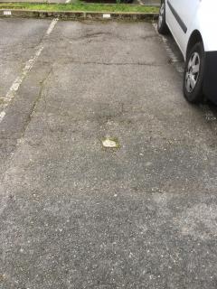 Location : parking exterieur Location : parking exterieur