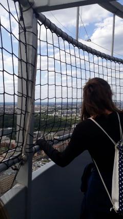 Service : garde animaux Service : garde animaux