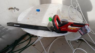 Location : taille haie Location : taille haie