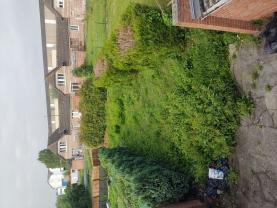 Service : debroussaillage Service : debroussaillage