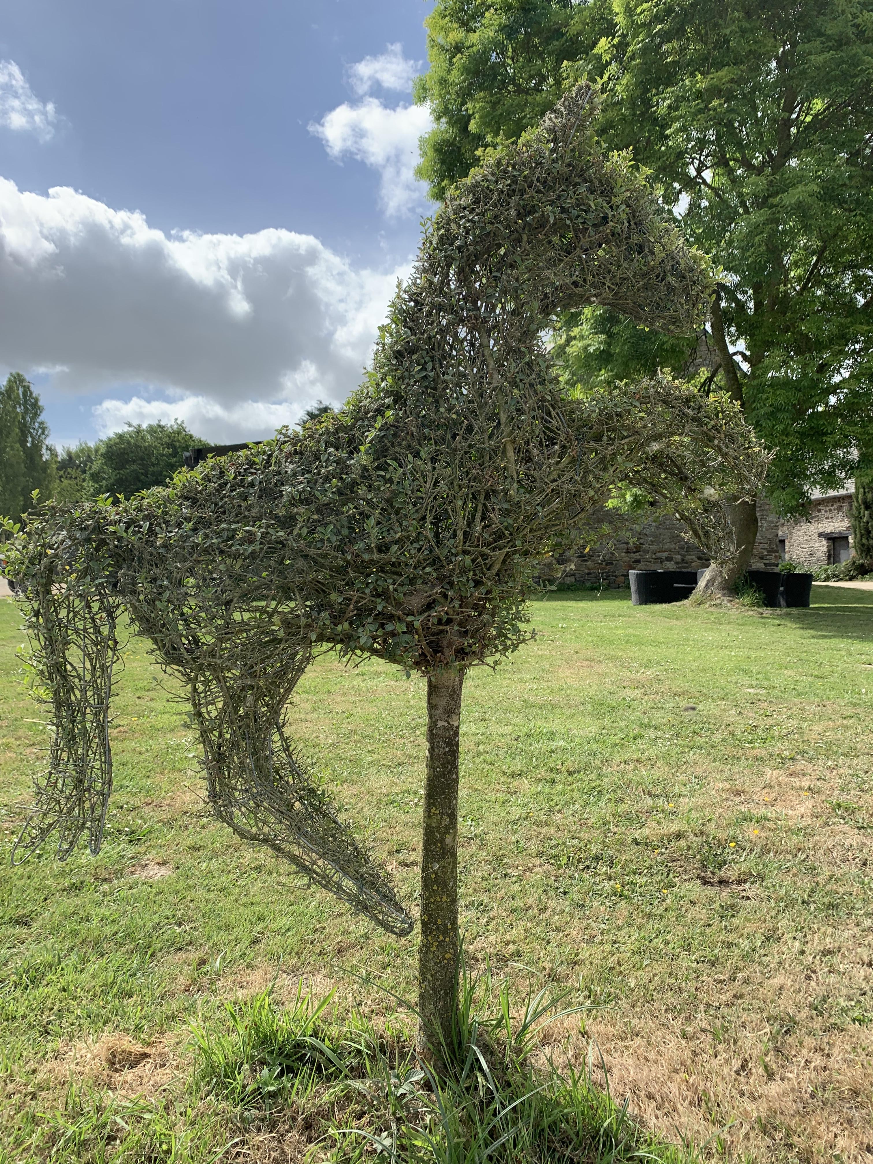 Location jardin 35 entre particuliers