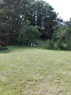 Service : garde animaux Service : garde animaux