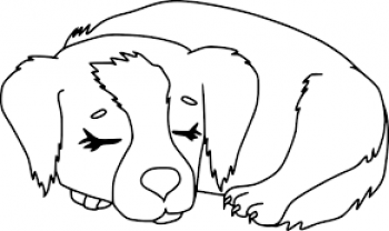 Demander ce petsitter