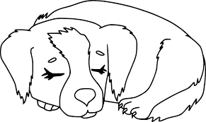 Service chien 84 entre particuliers