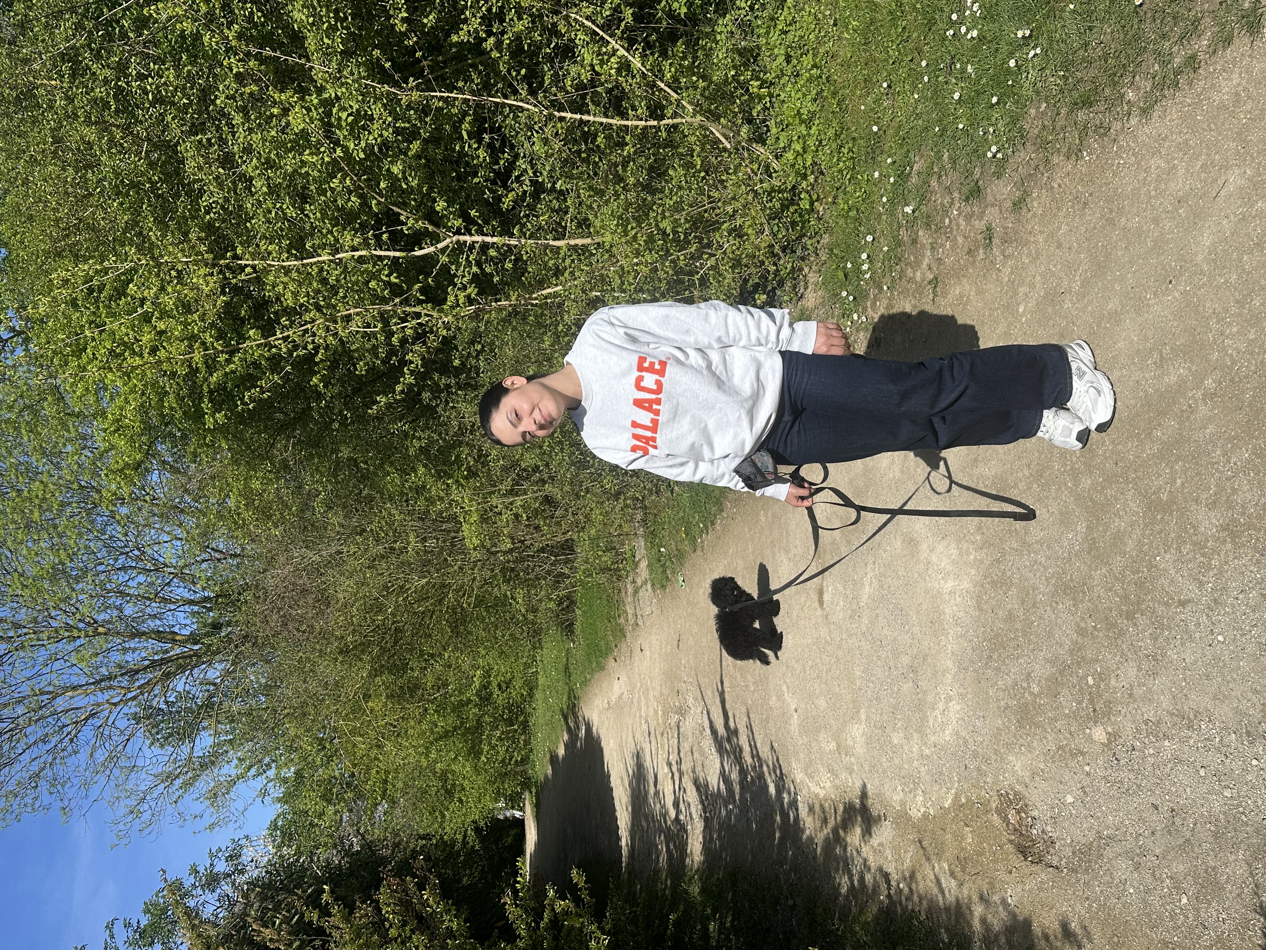 Service promeneur chien 91 entre particuliers