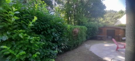 Service : entretien espace vert Service : entretien espace vert