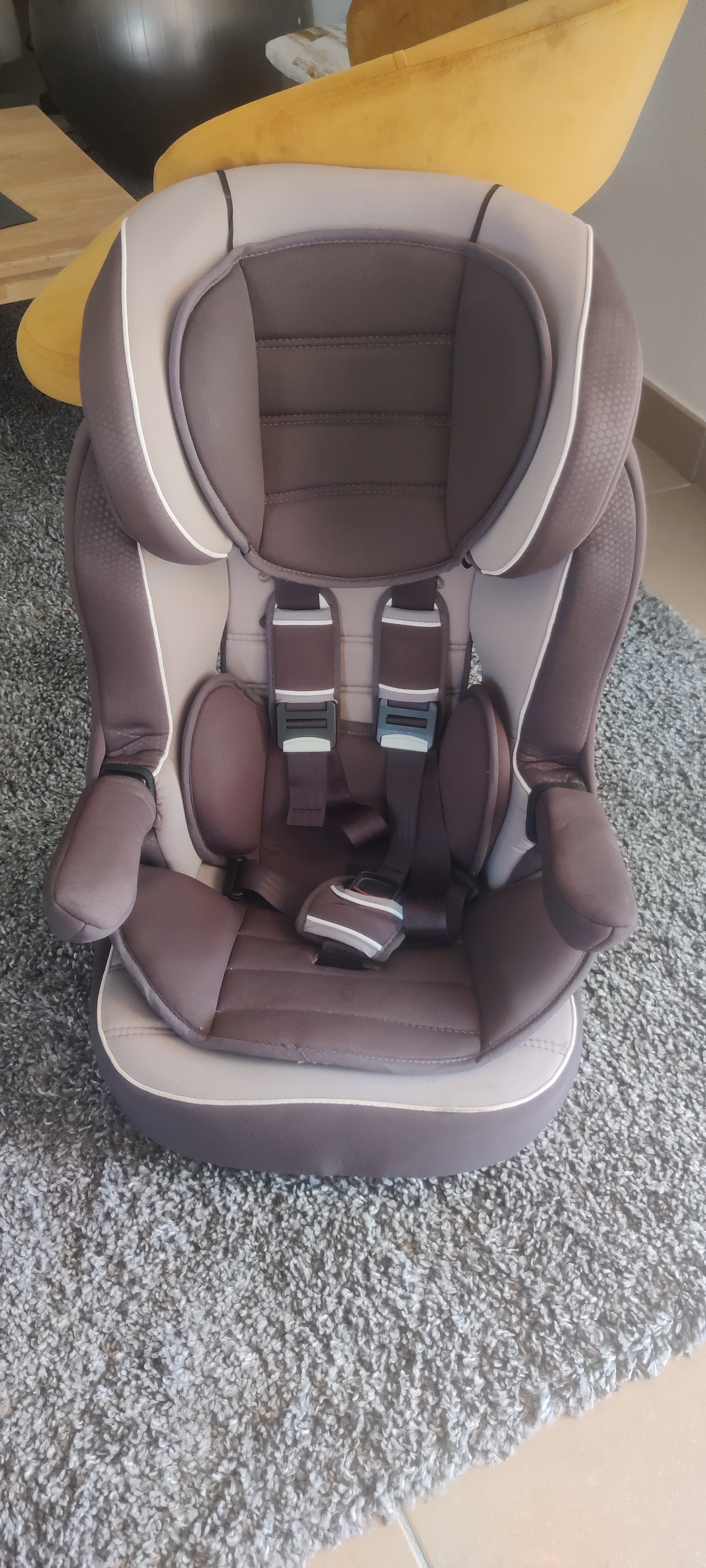 Location siege auto enfant 66 entre particuliers