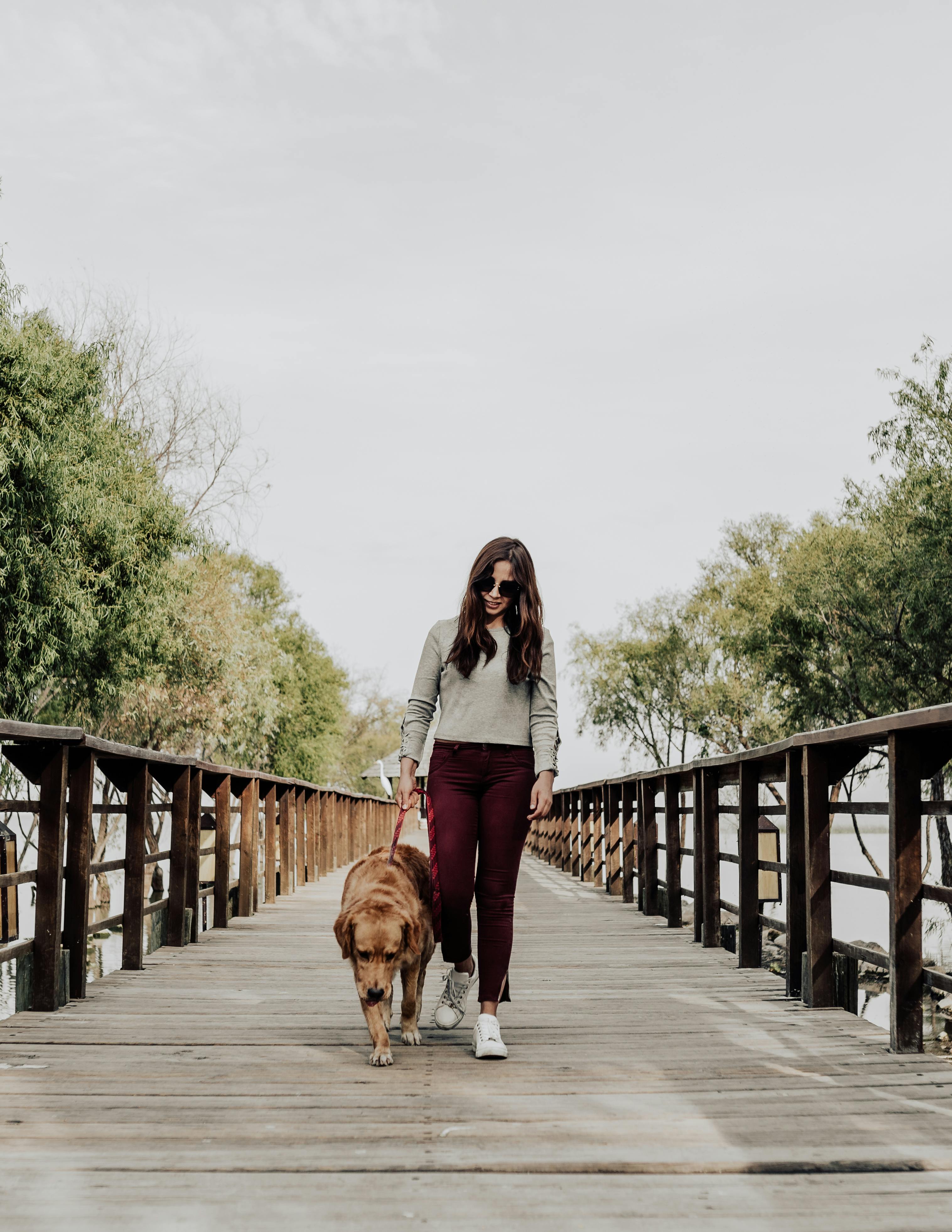 Service promeneur chien 75 entre particuliers